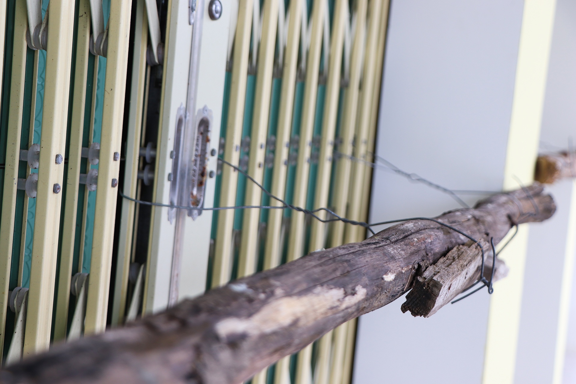 cho xay 60 ty roi bo khong anh 7