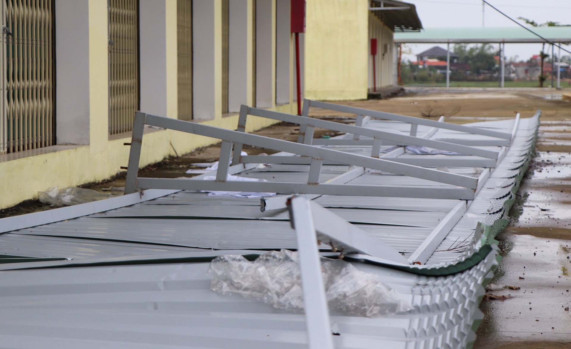 cho xay 60 ty roi bo khong anh 11