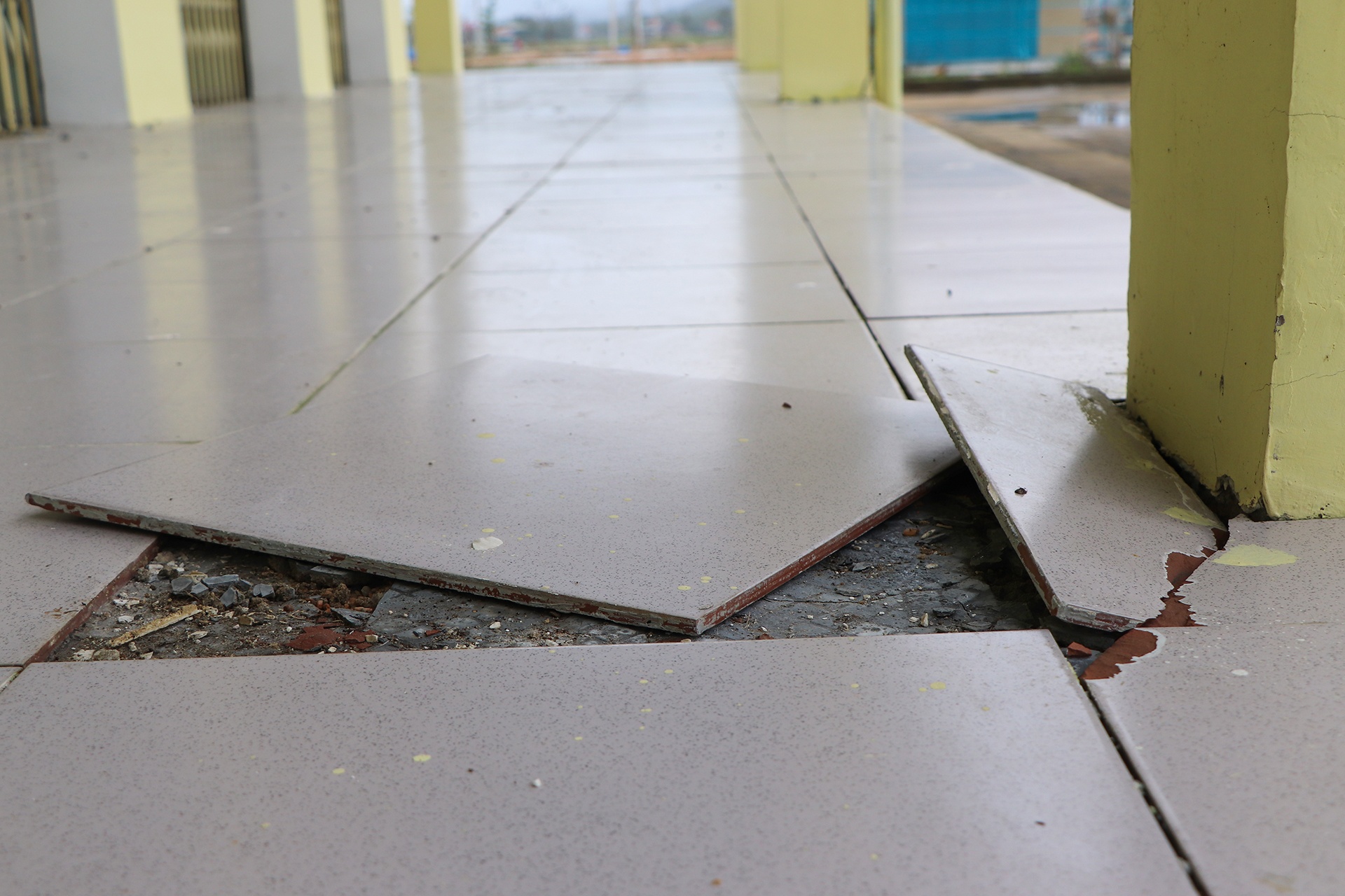 cho xay 60 ty roi bo khong anh 12