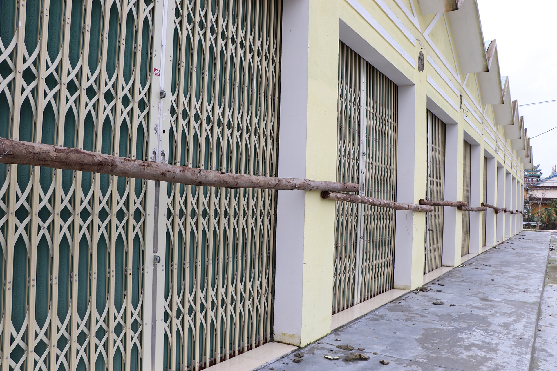 cho xay 60 ty roi bo khong anh 3