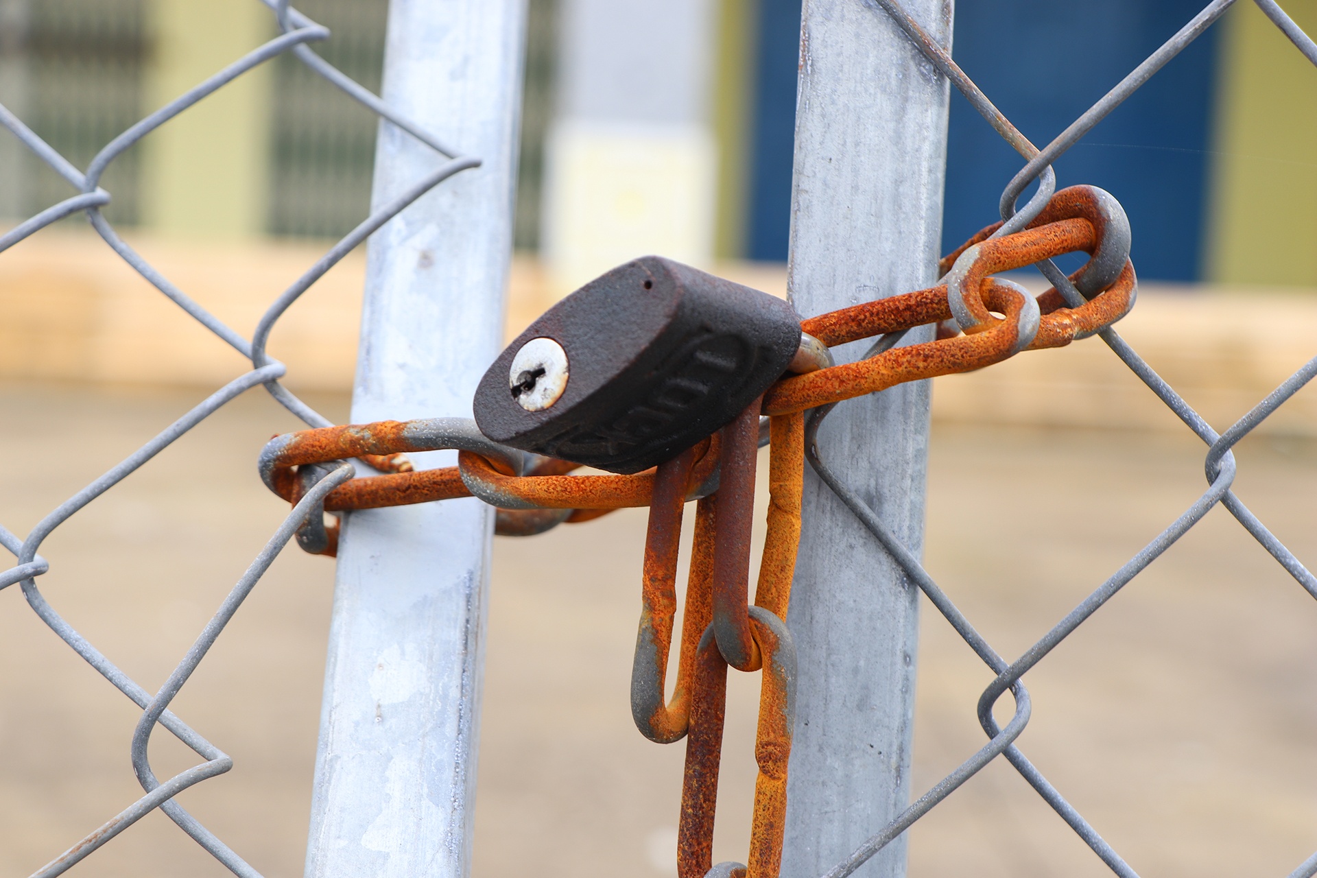 cho xay 60 ty roi bo khong anh 6