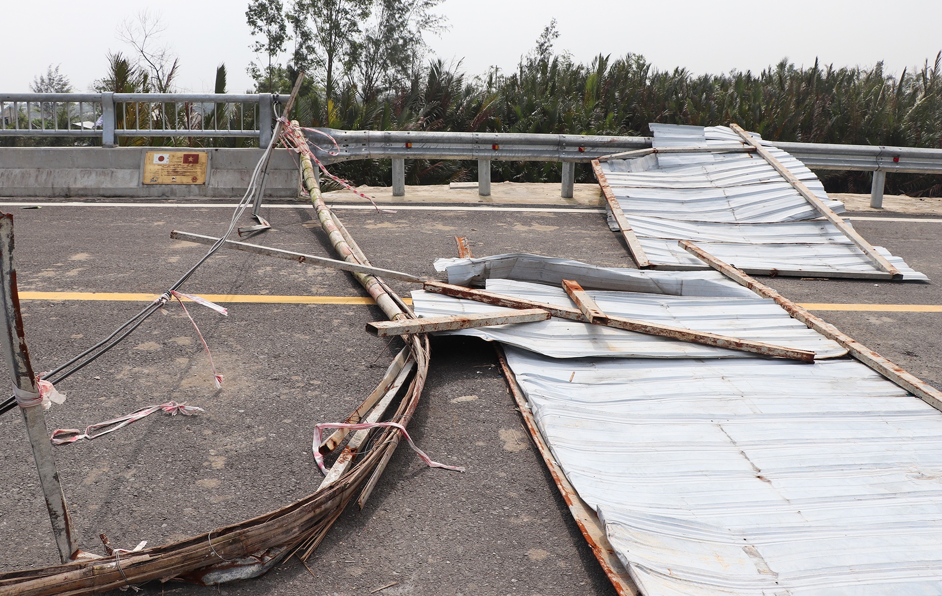 cau 43 ty khong co duong dan anh 5