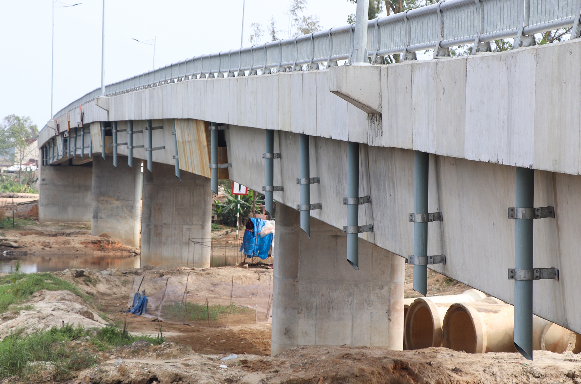 cau 43 ty khong co duong dan anh 6