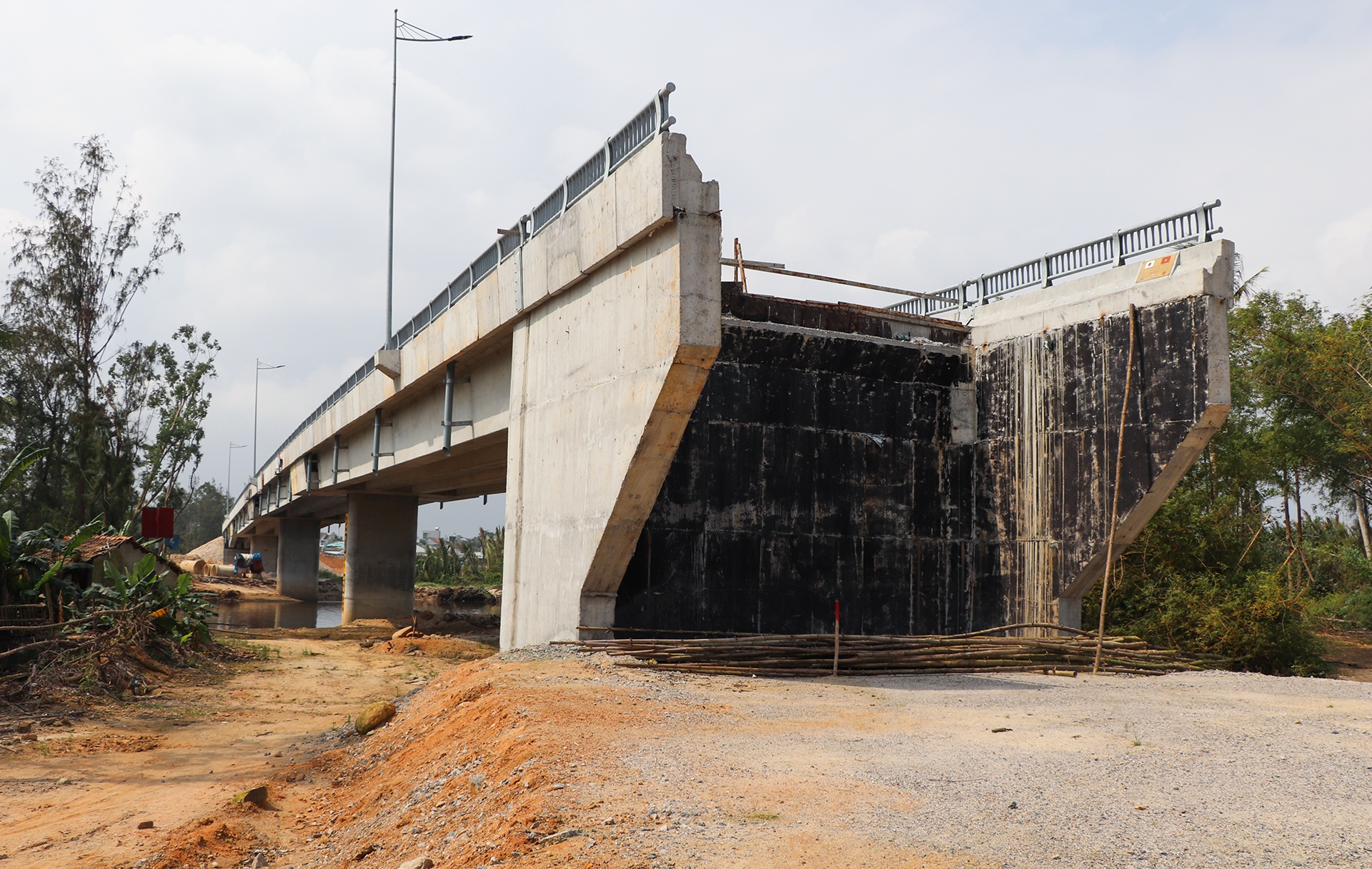 cau 43 ty khong co duong dan anh 8