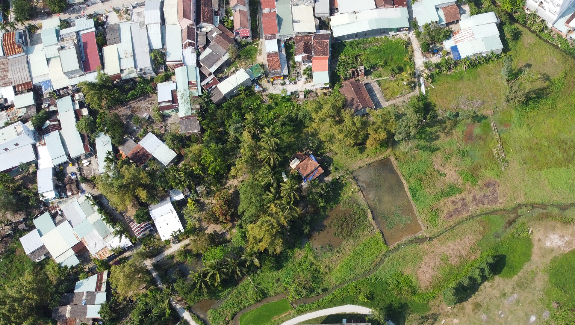 Chinh quyen noi gi ve khu dan cu bi 'bo quen' giua TP Tam Ky? hinh anh