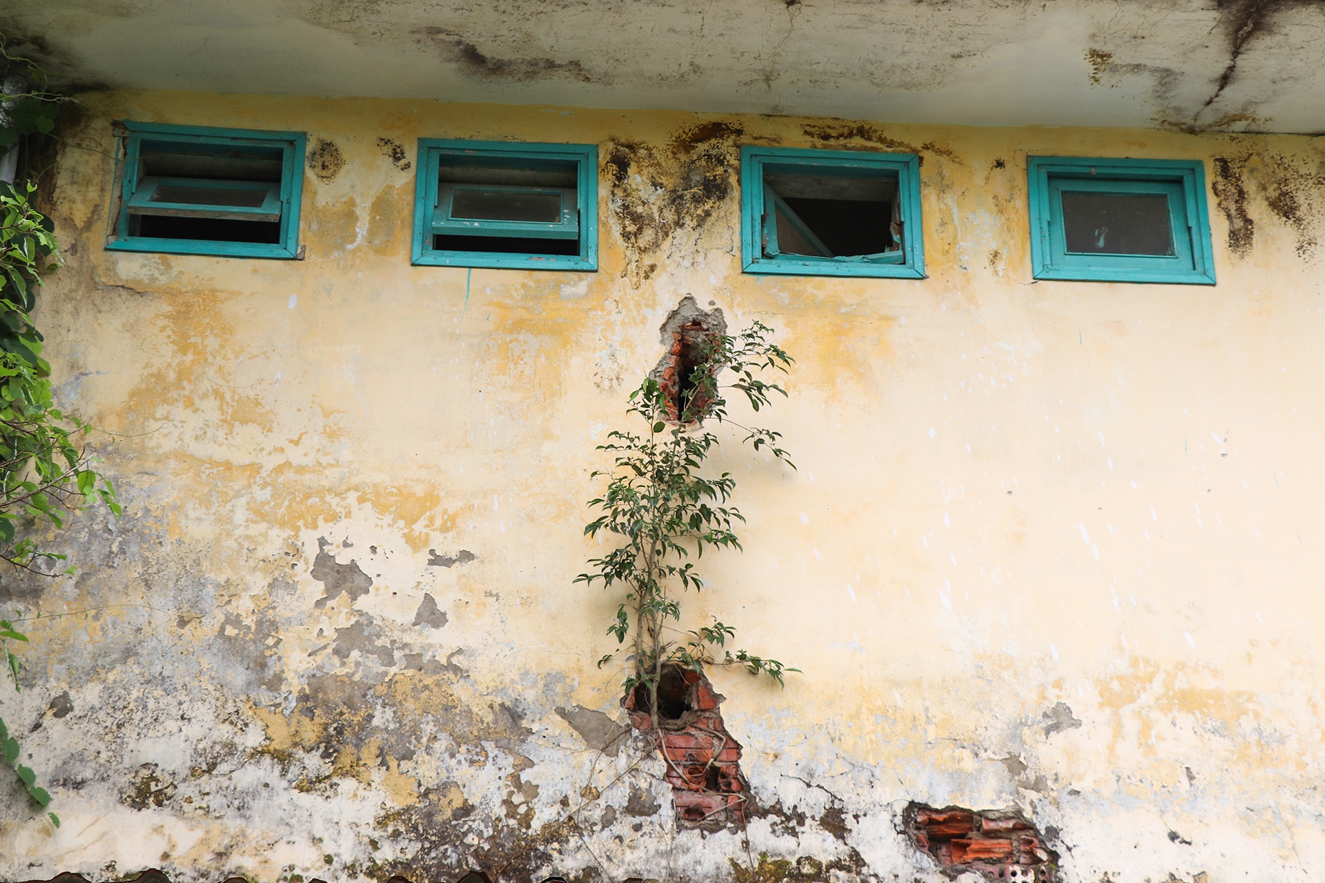 trung tam xuong cap vi bi bo hoang anh 8