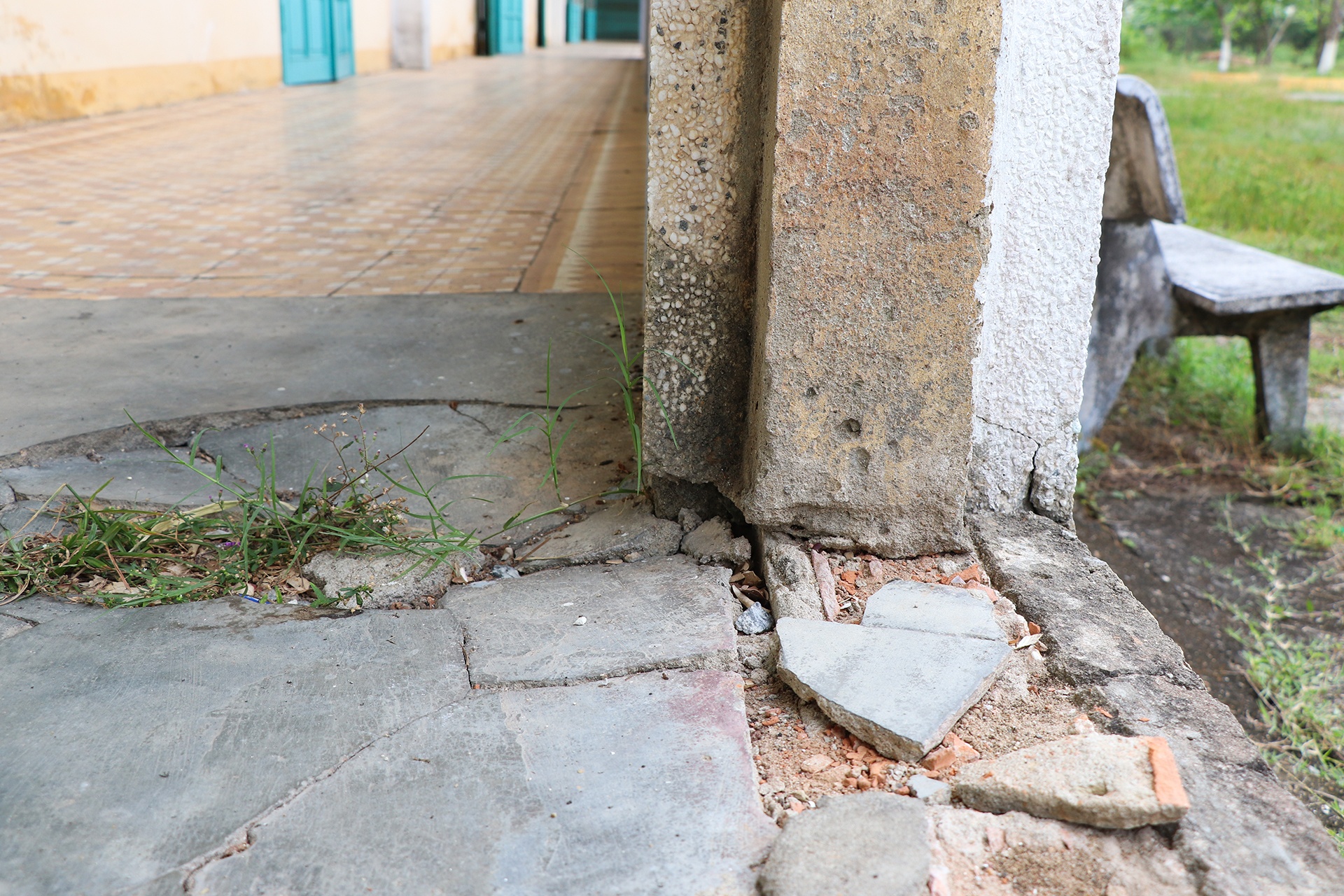 trung tam xuong cap vi bi bo hoang anh 6