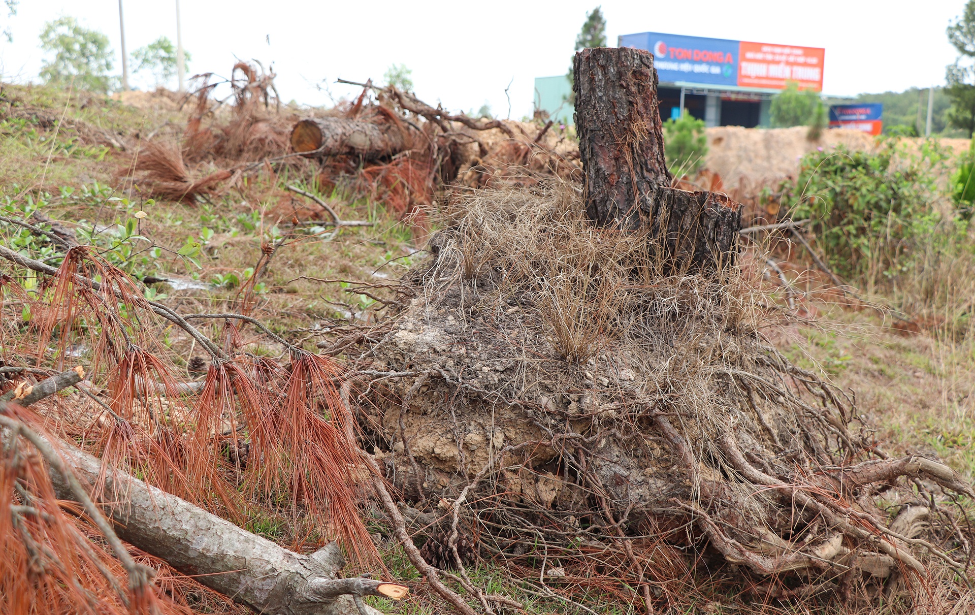 xa tu y khai thac dat anh 5