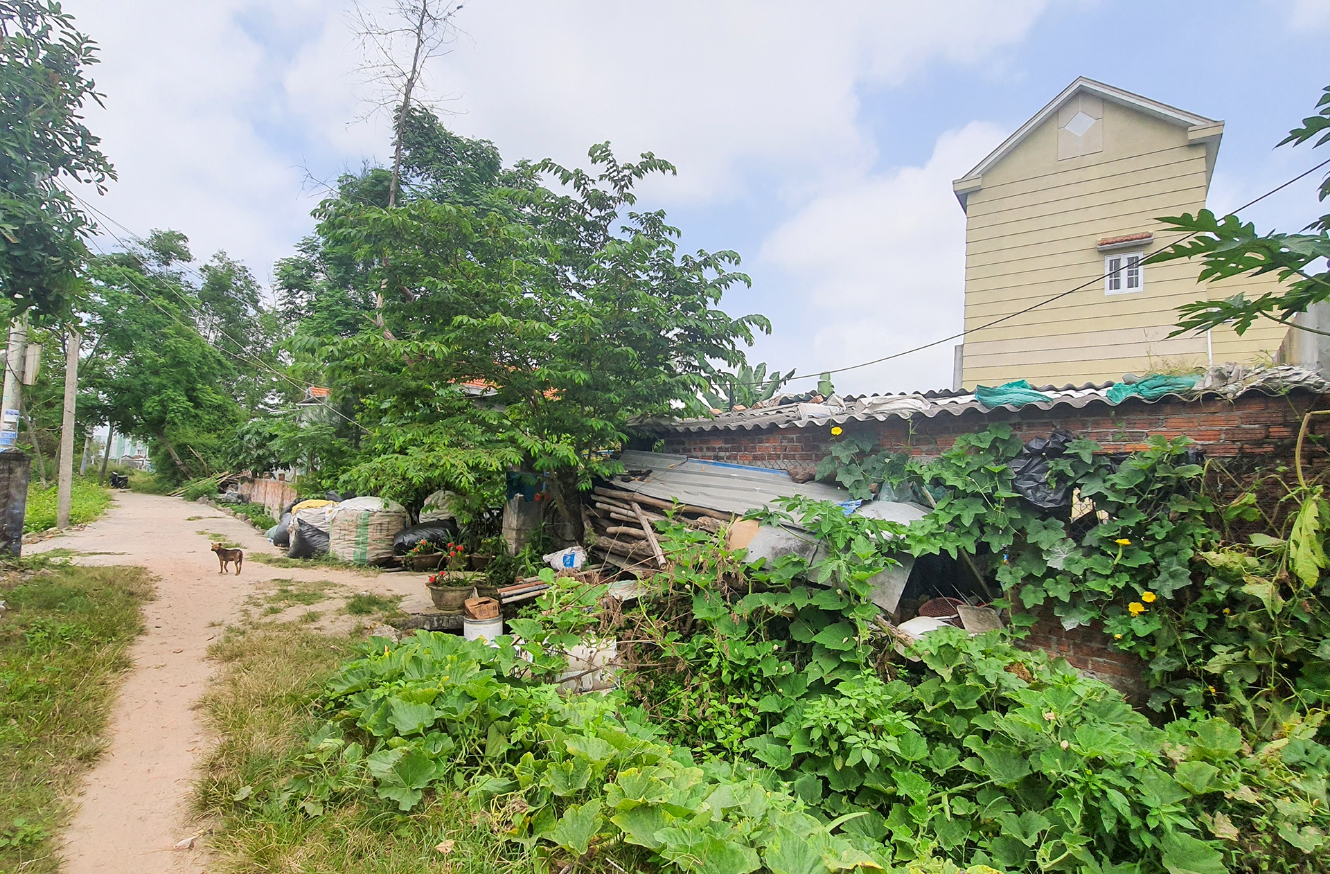 xay tuong chan nha dan anh 2