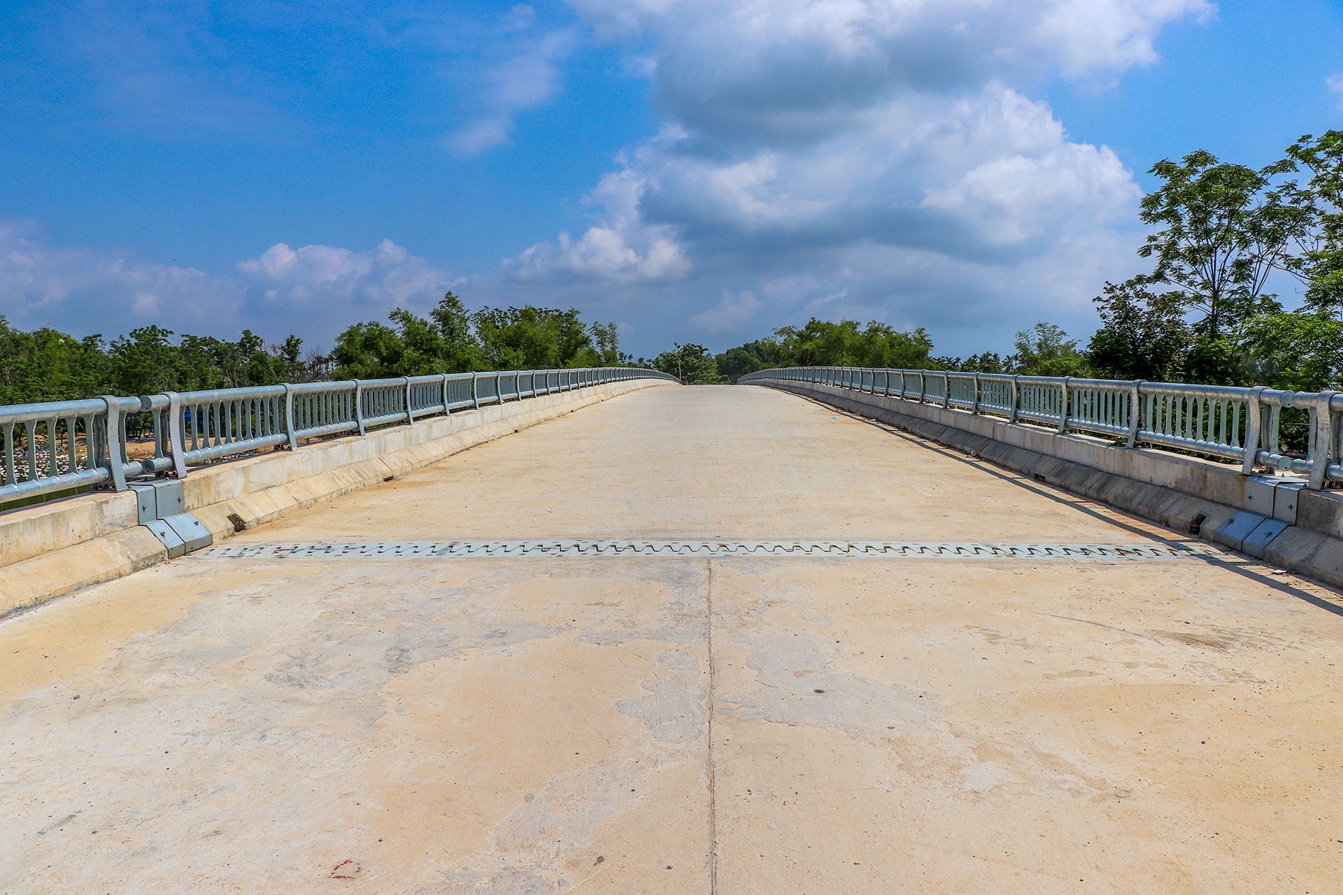 cau 51 ty khong co duong dan anh 2