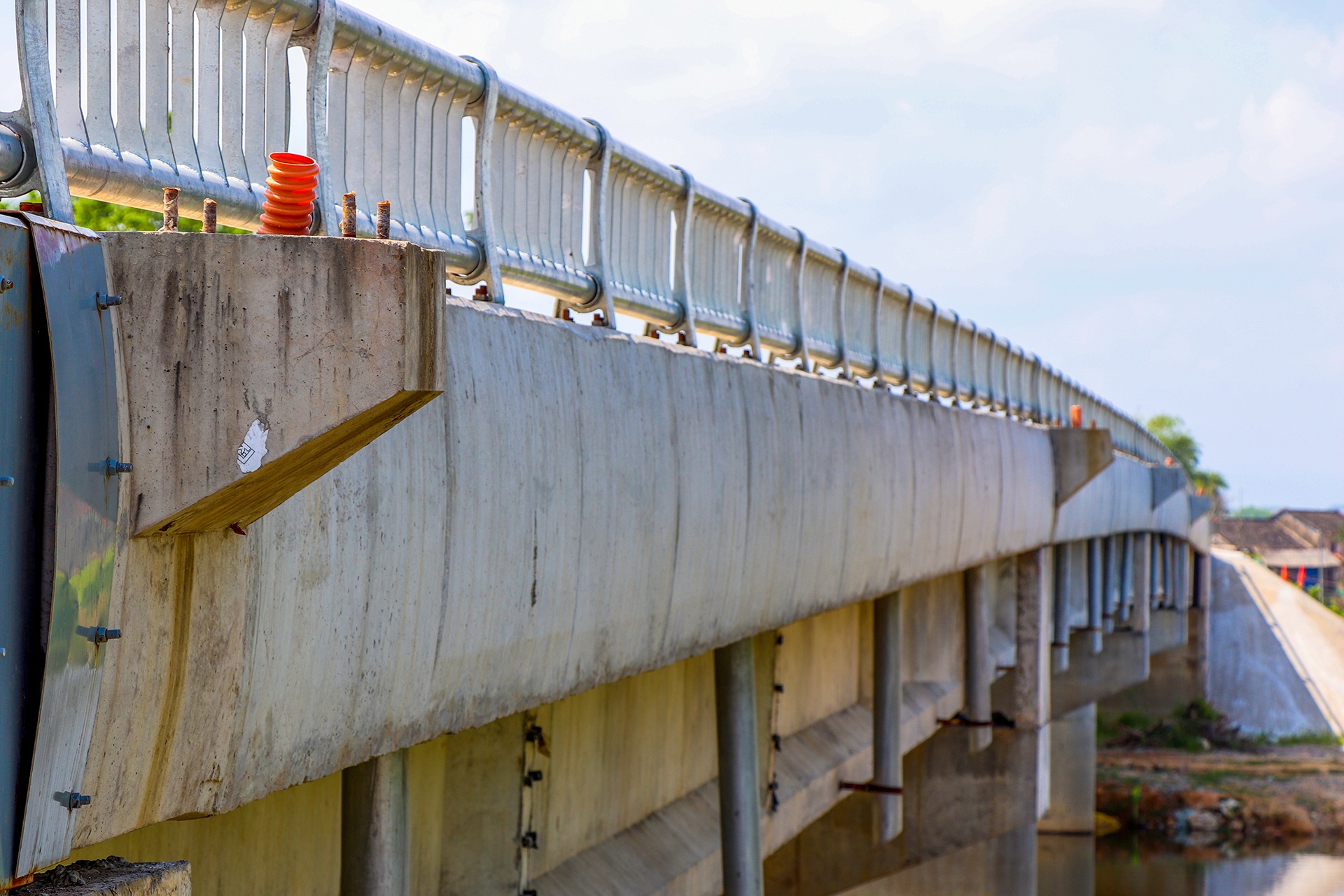 cau 51 ty khong co duong dan anh 4