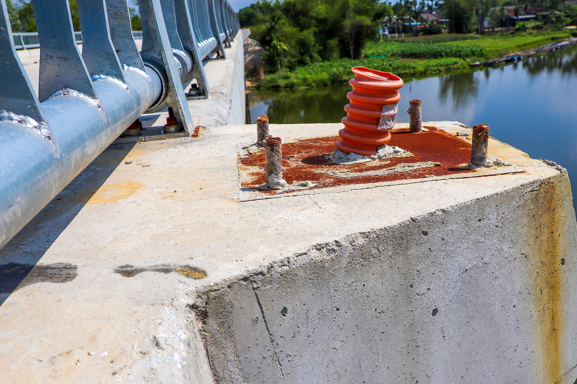 cau 51 ty khong co duong dan anh 8