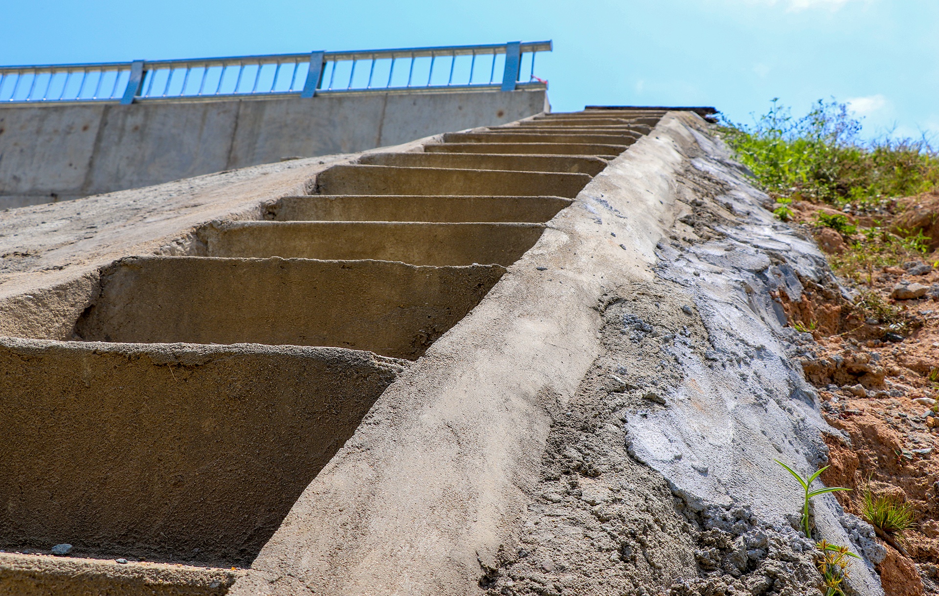 cau 51 ty khong co duong dan anh 7