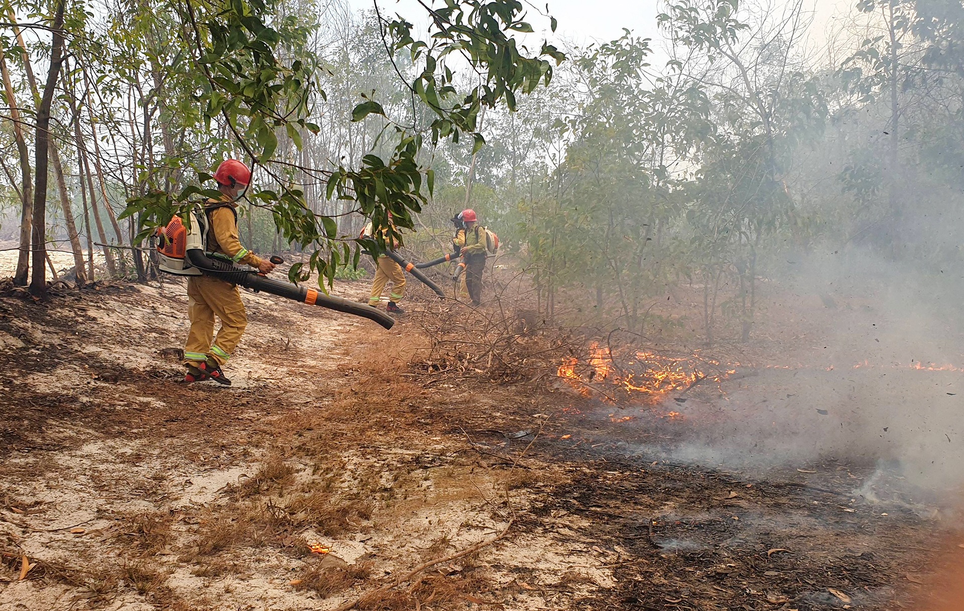 chay rung phong ho o Quang Nam anh 2