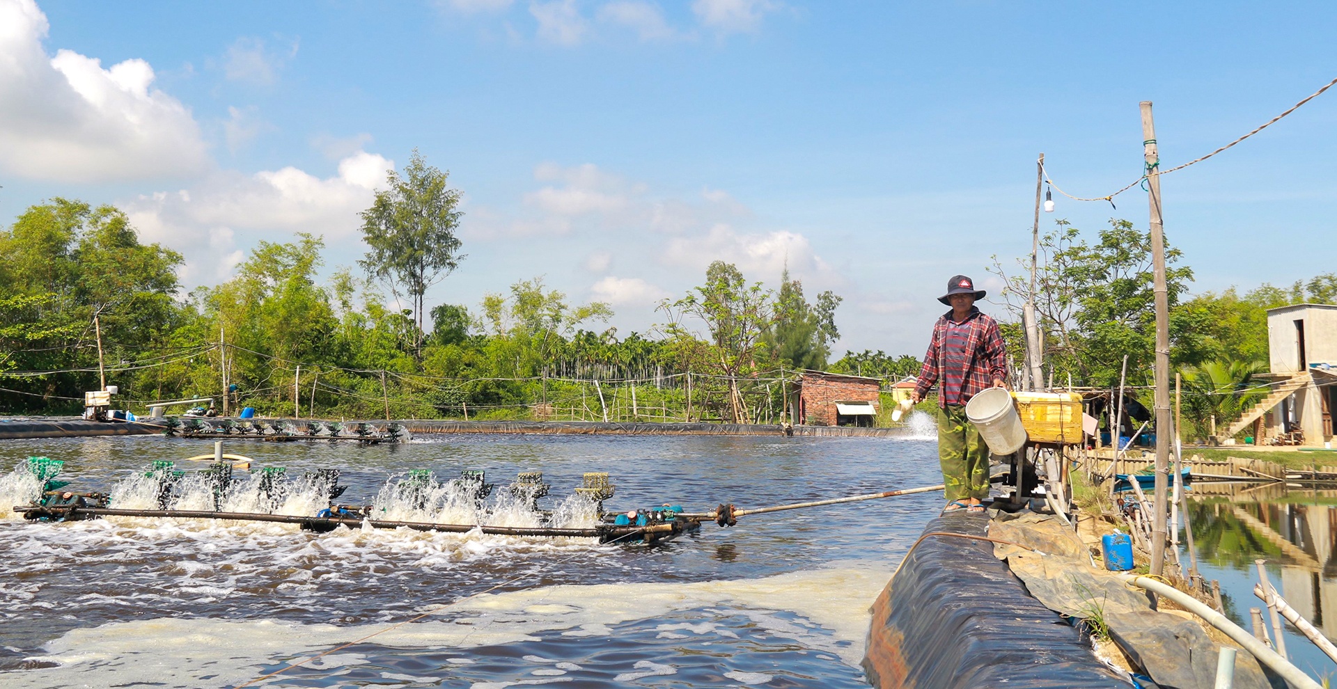 gia tom giam do dich Covid-19 anh 1