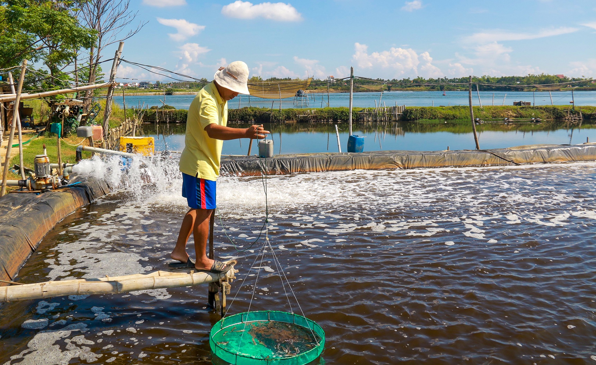 gia tom giam do dich Covid-19 anh 2