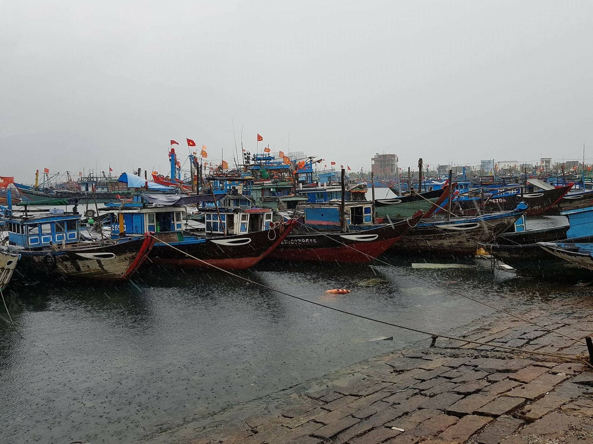 di doi tau thuyen khoi bao so 5 anh 1