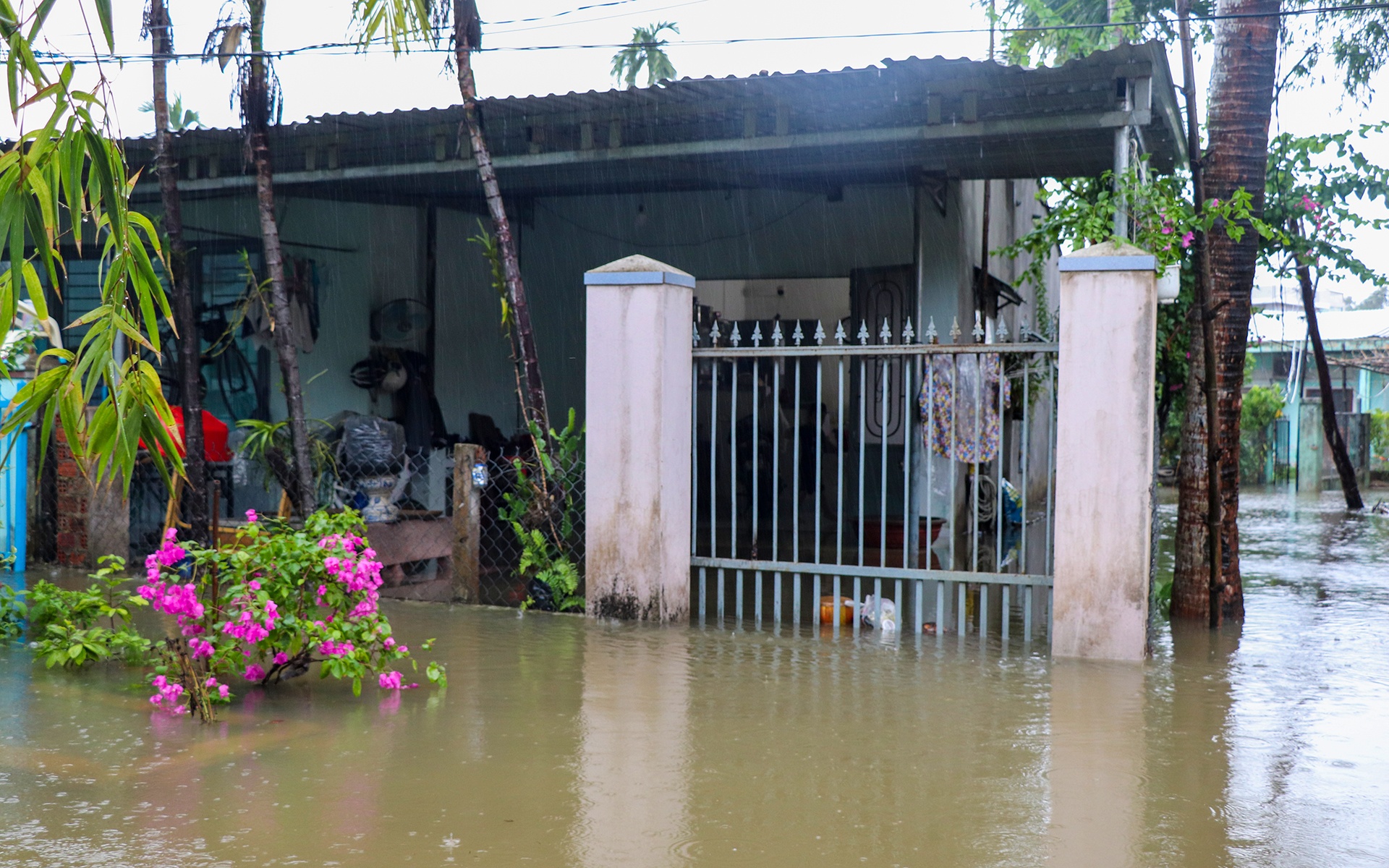 Khu dan cu tai Tam Ky ngap sau do mua lon anh 2