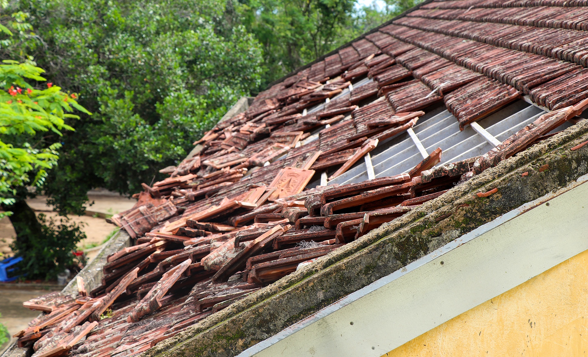 hang chuc ngoi nha hu hong do bao so 6 anh 1