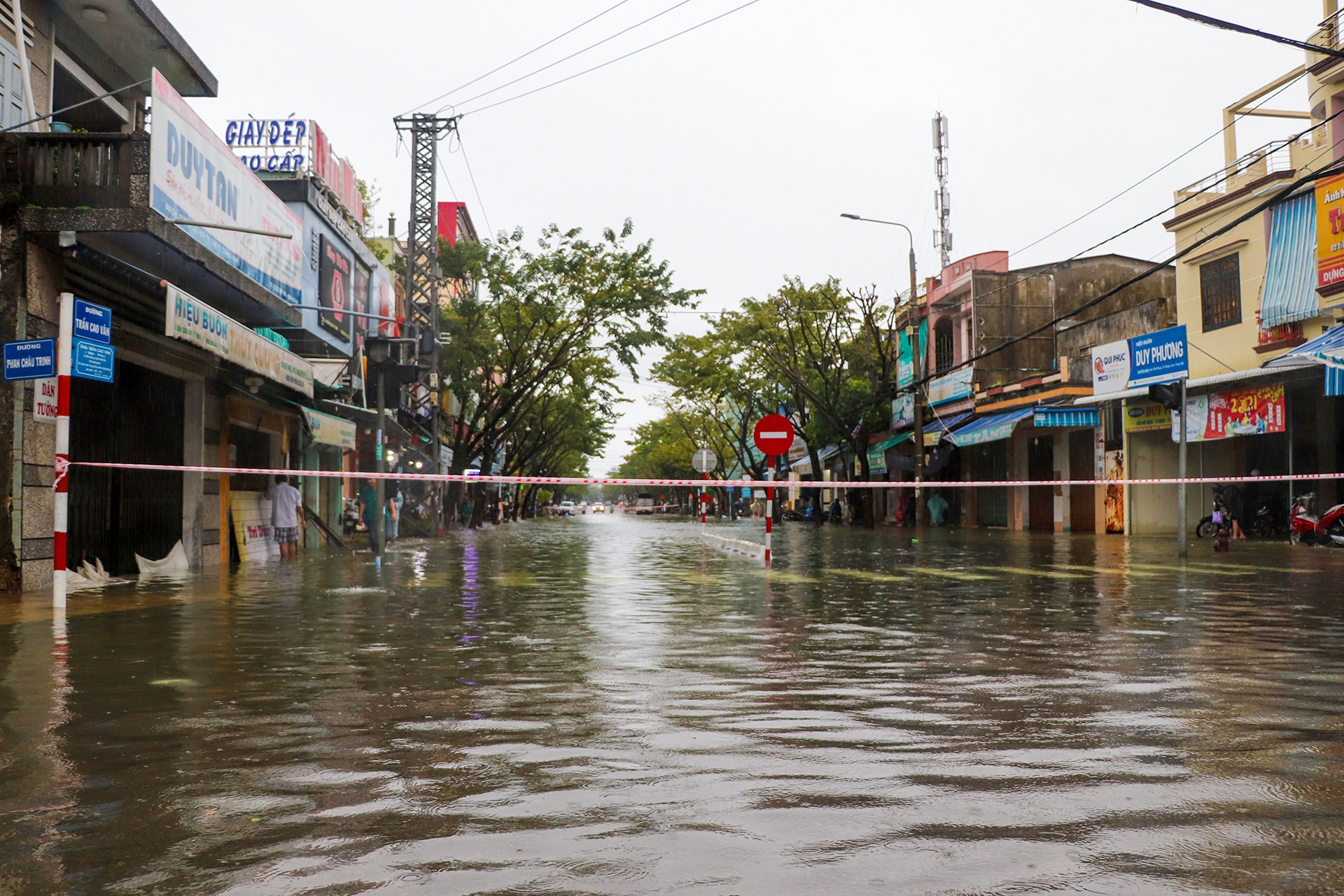 hang tram ngoi nha chim trong nuoc tai Quang Nam anh 10