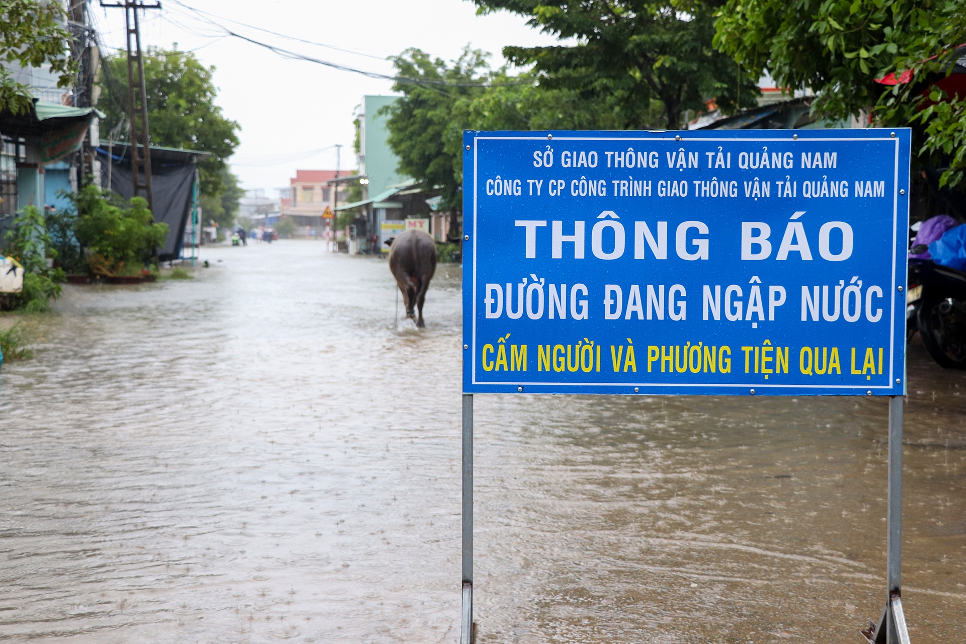 khu dan cu ngap hon 1 m o Quang Nam anh 9