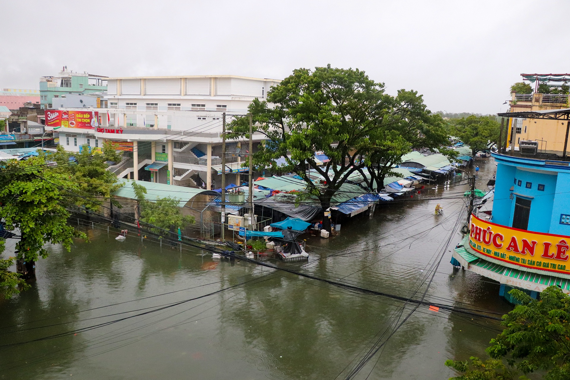 hang tram ngoi nha chim trong nuoc tai Quang Nam anh 2