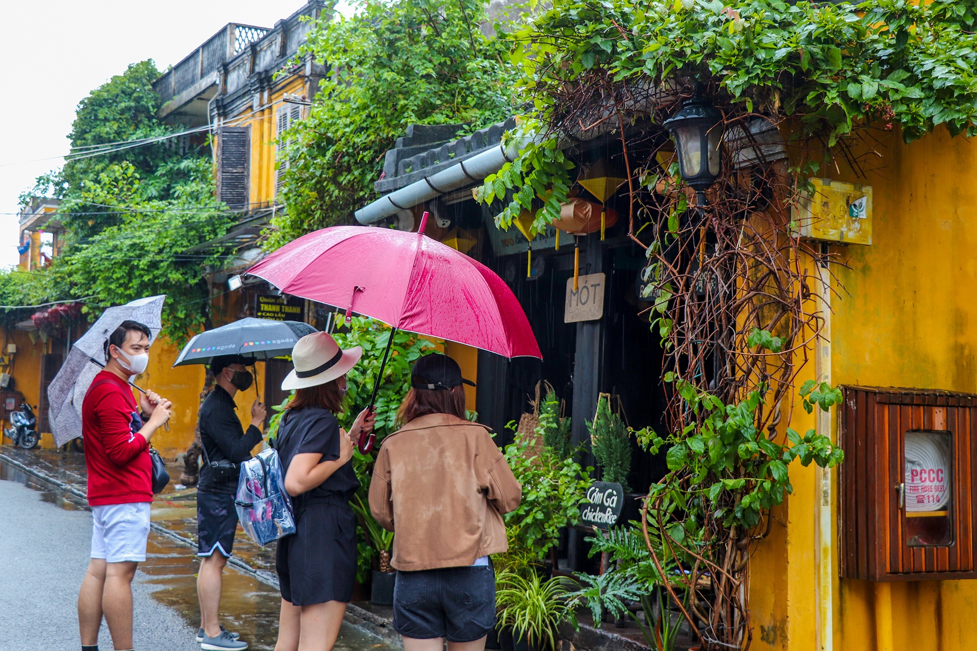 Hội An đón khách du lịch ảnh 4 Hoi An don khach du lich anh 4