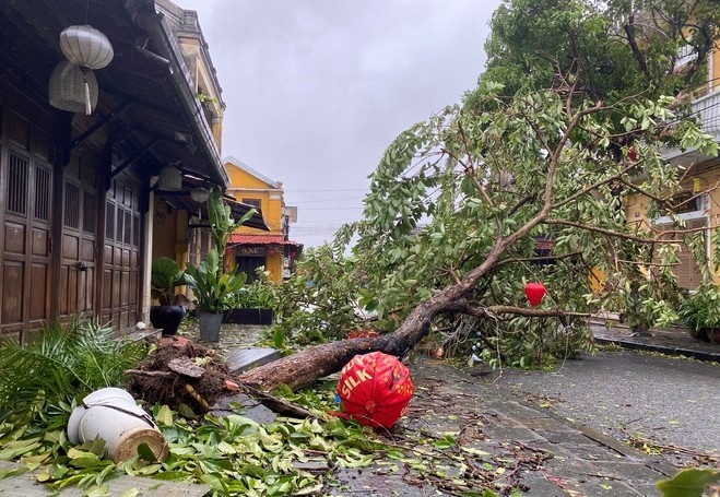 Yeu cau kiem diem vu chi tra 2.000 dong cho nguoi bi thiet hai do bao hinh anh