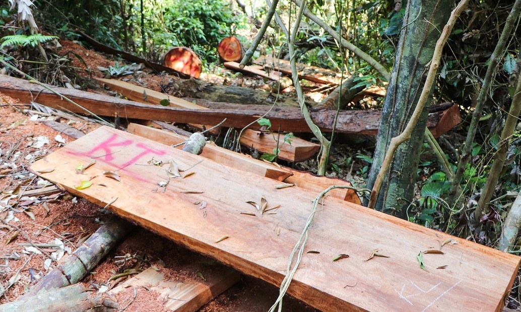 Can bo xa bi cach chuc vi chua go trai phep trong nha hinh anh