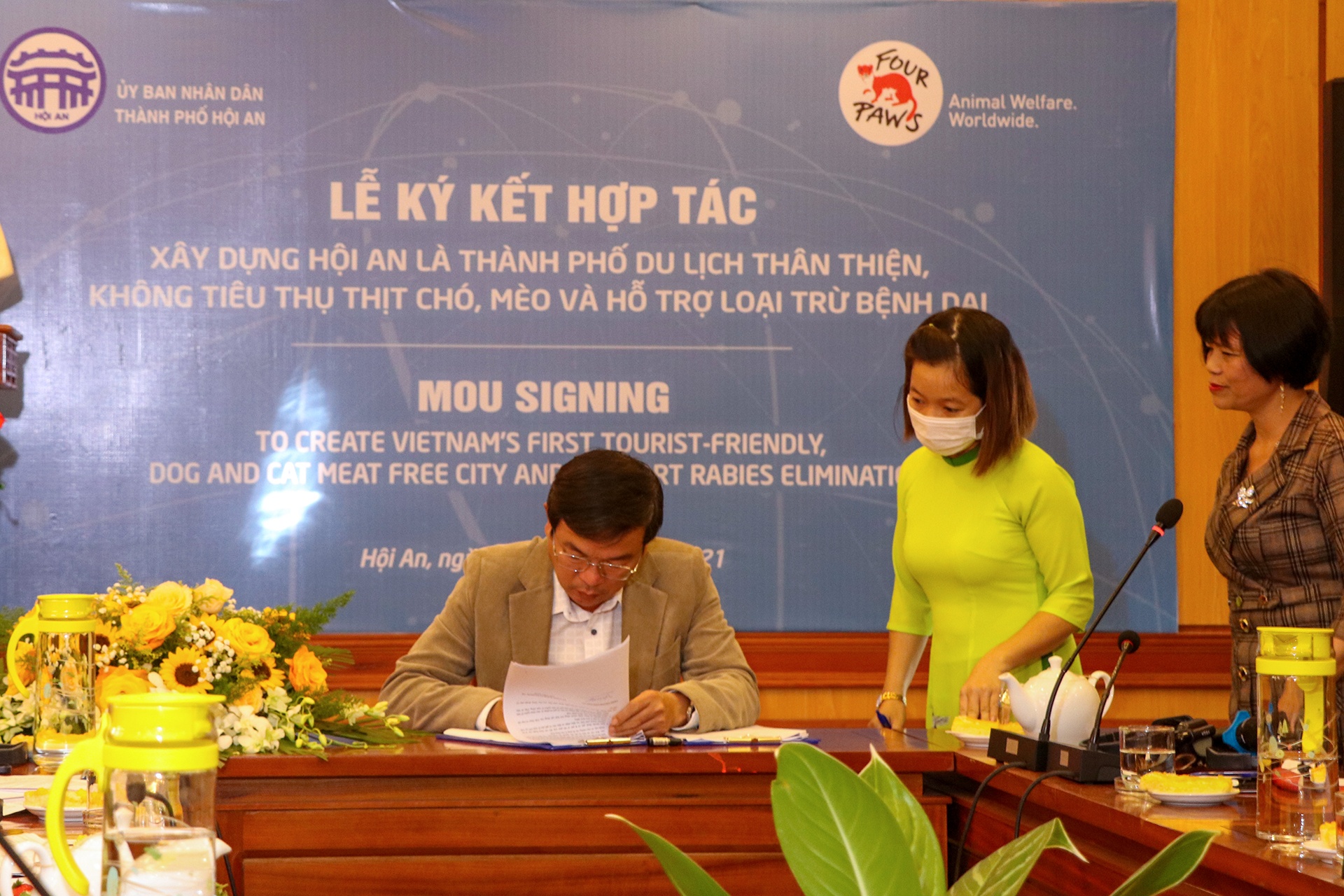 khong tieu thu cho,  meo anh 1