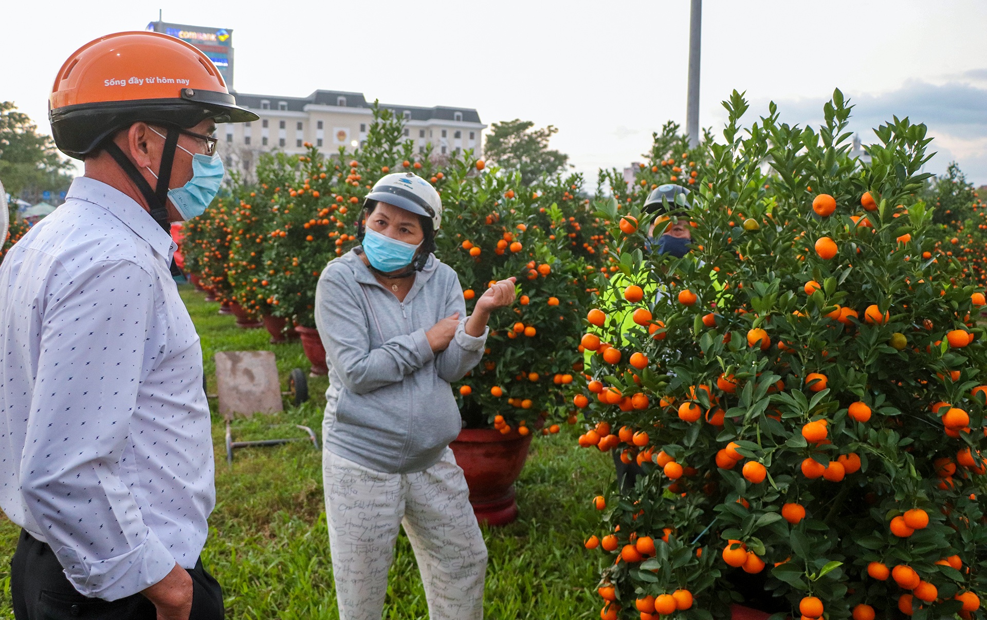 cho hoa Tet vang khach o Da Nang anh 7
