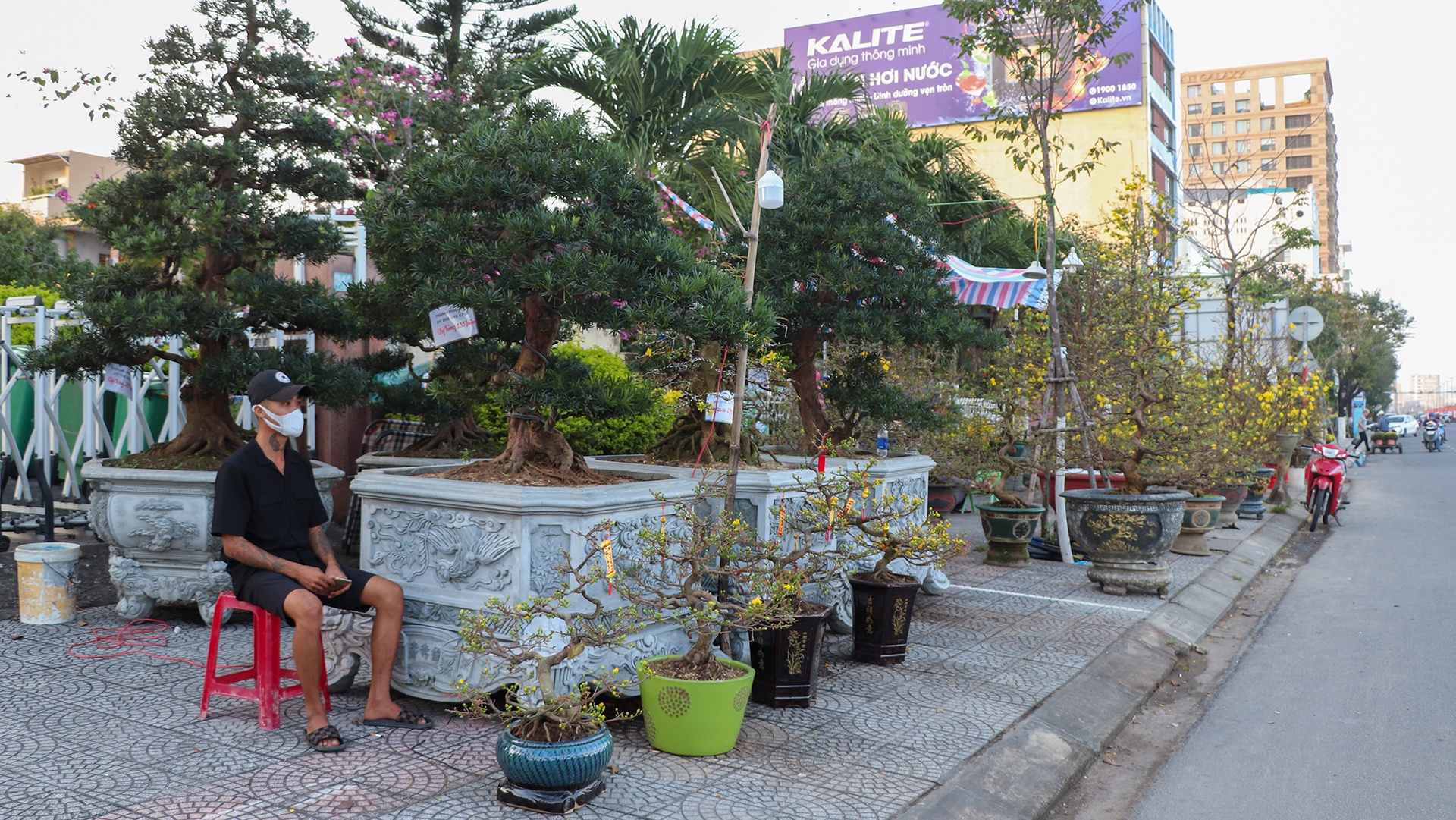 cho hoa Tet vang khach o Da Nang anh 1