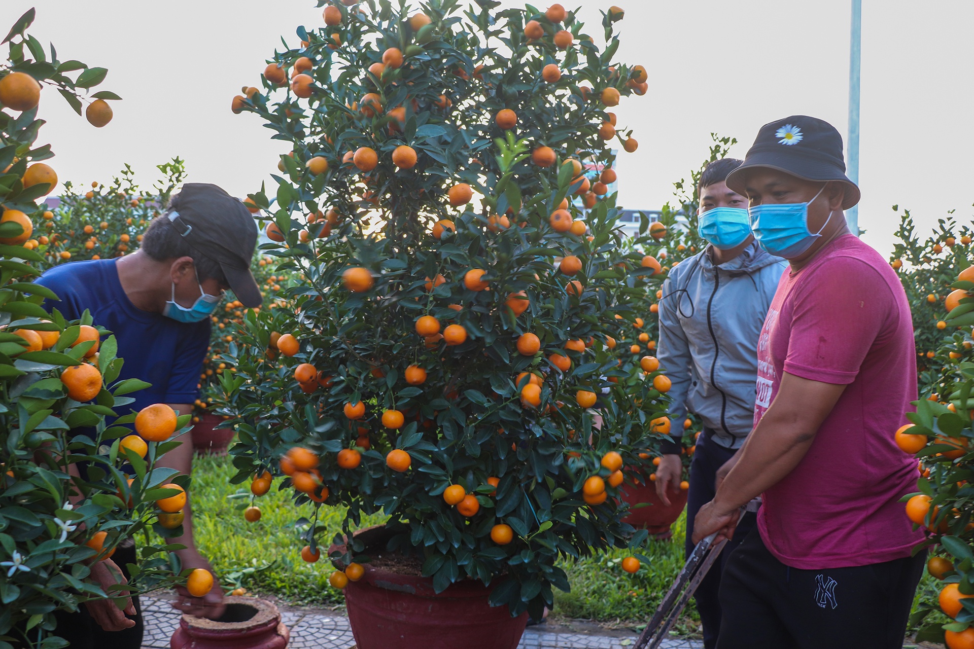 cho hoa Tet vang khach o Da Nang anh 4