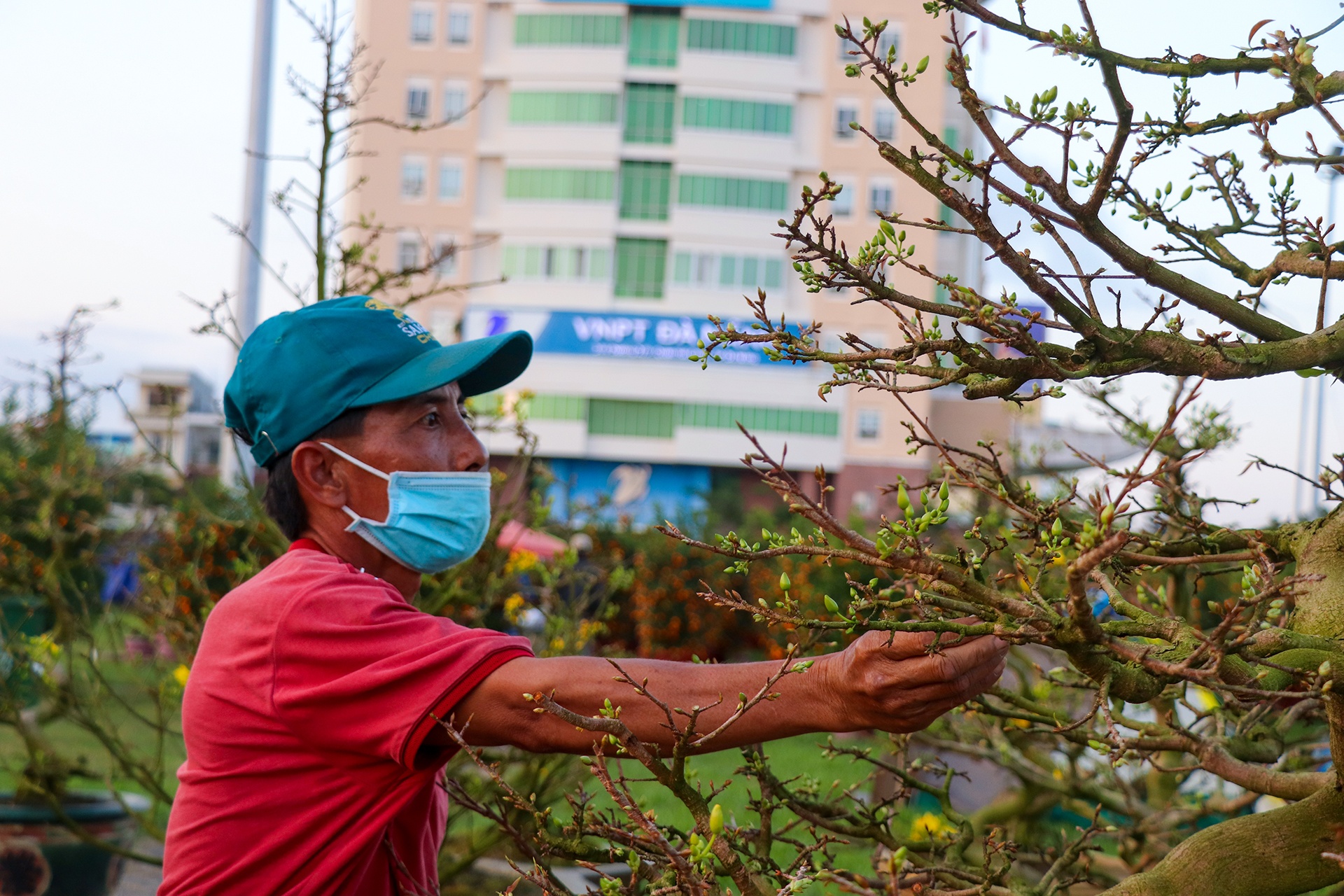 cho hoa Tet vang khach o Da Nang anh 3