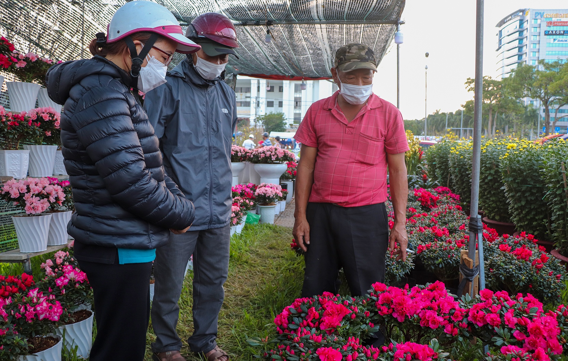 cho hoa Tet vang khach o Da Nang anh 6