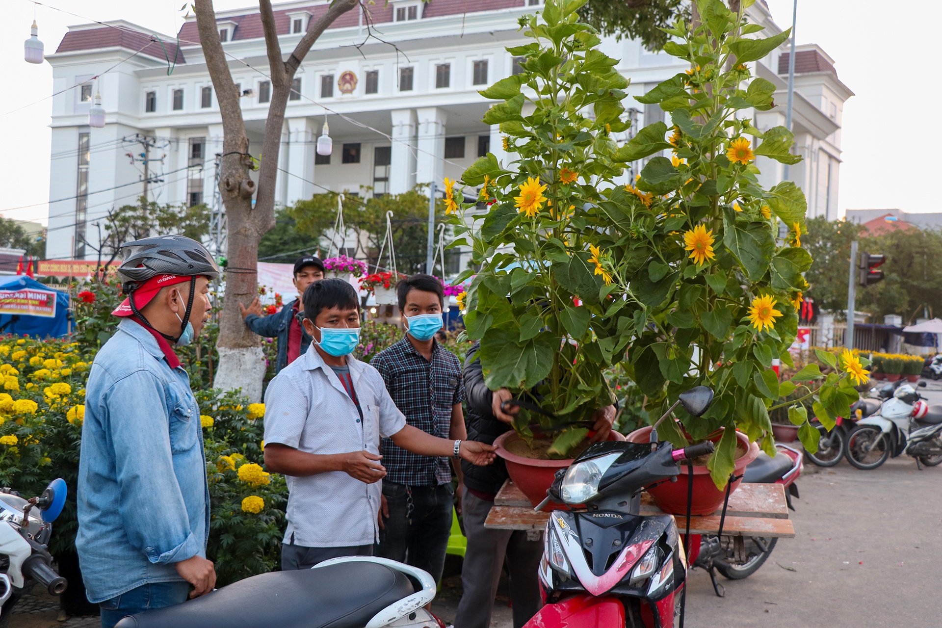 cho hoa Tet vang khach o Da Nang anh 5