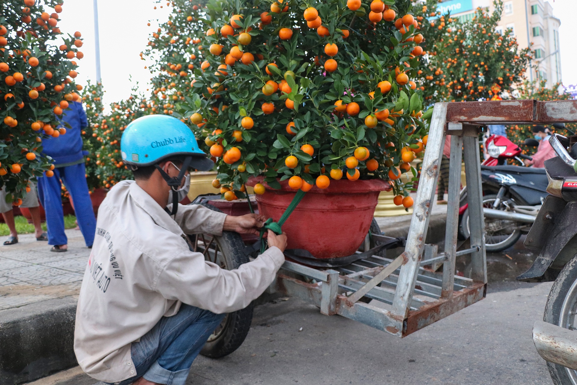 cho hoa Tet vang khach o Da Nang anh 8