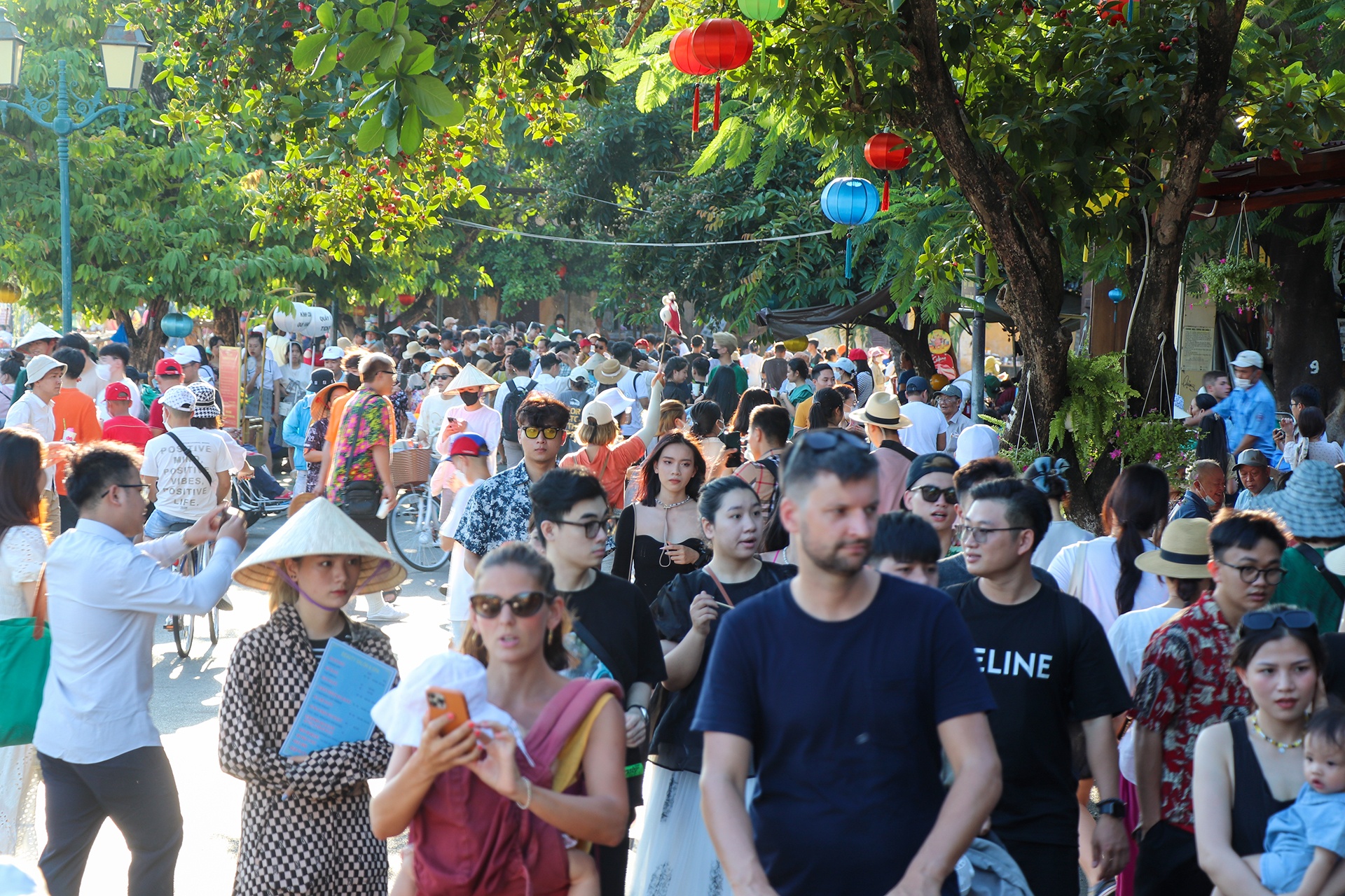 Ap luc voi Hoi An anh 4