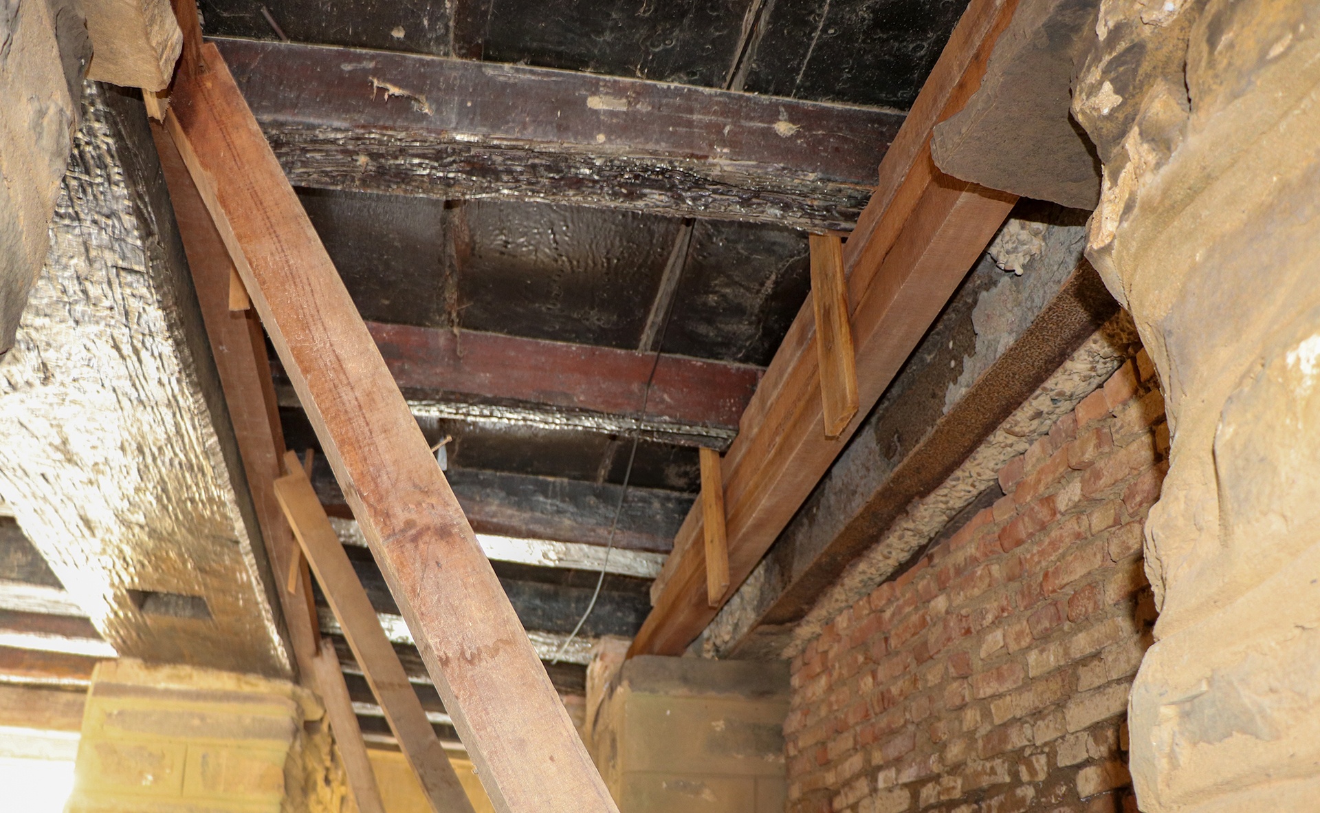 Ap luc voi Hoi An anh 9