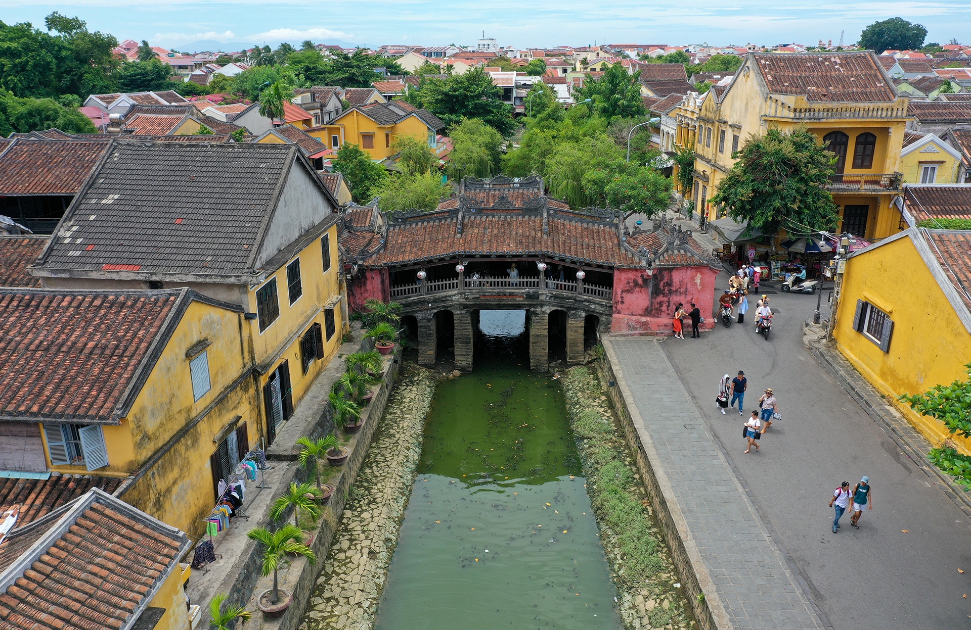 ap luc voi Hoi An anh 2