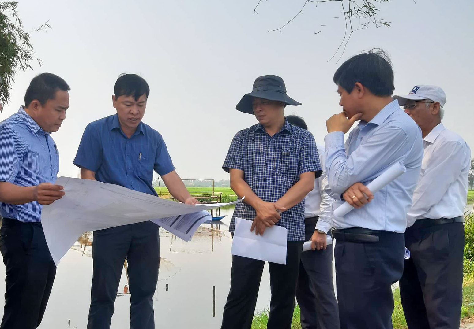 Quang Nam thu hoi 2 du an hon 5.400 ty dong cua tap doan T&T hinh anh