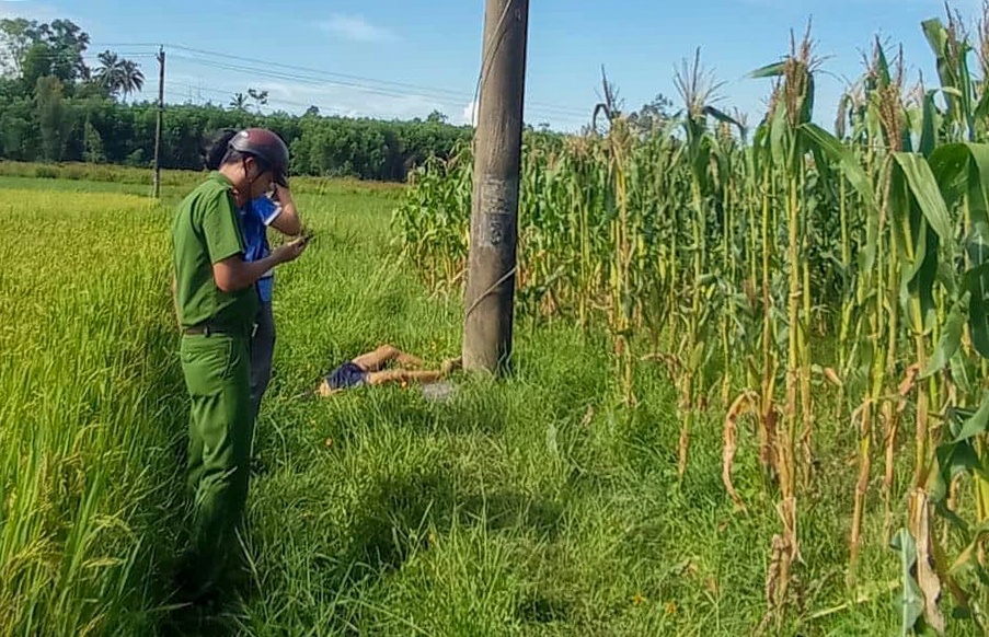 Thi the nam thanh nien nam duoi cot dien giua canh dong hinh anh