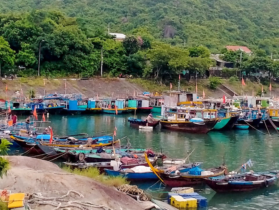 bao noru vao quang nam anh 1