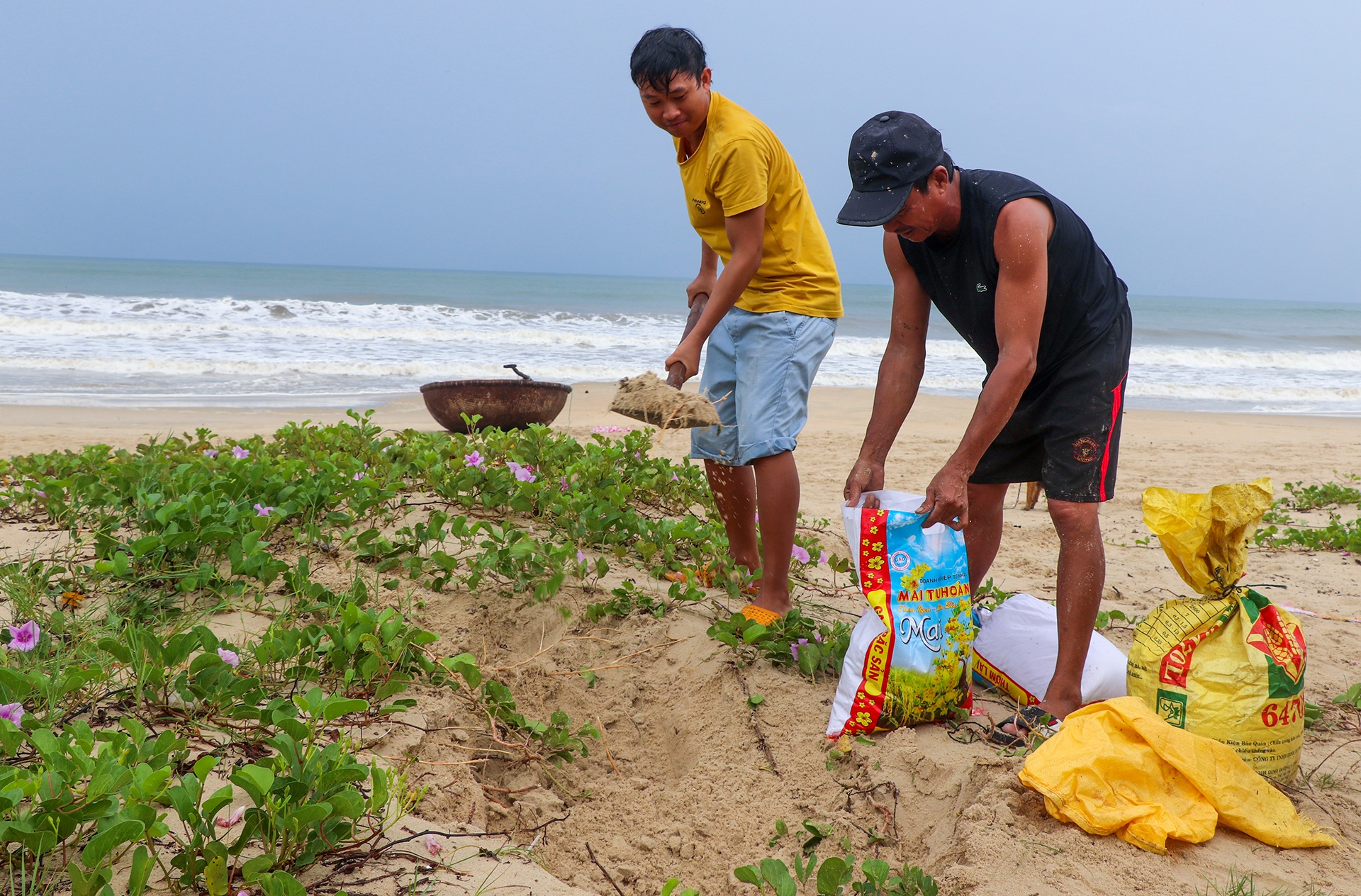 dung ham tranh bao Noru anh 2