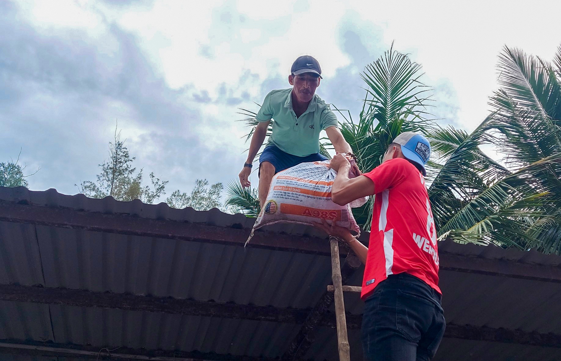 dung ham tranh bao Noru anh 5