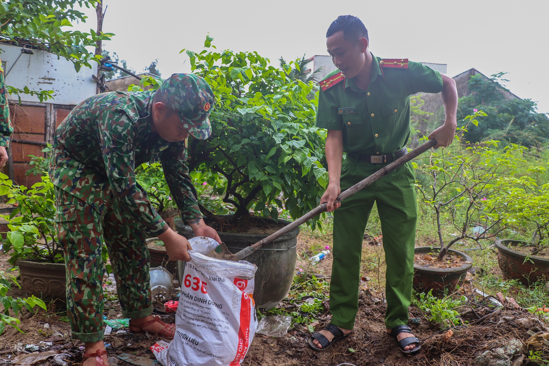 dung ham tranh bao Noru anh 3