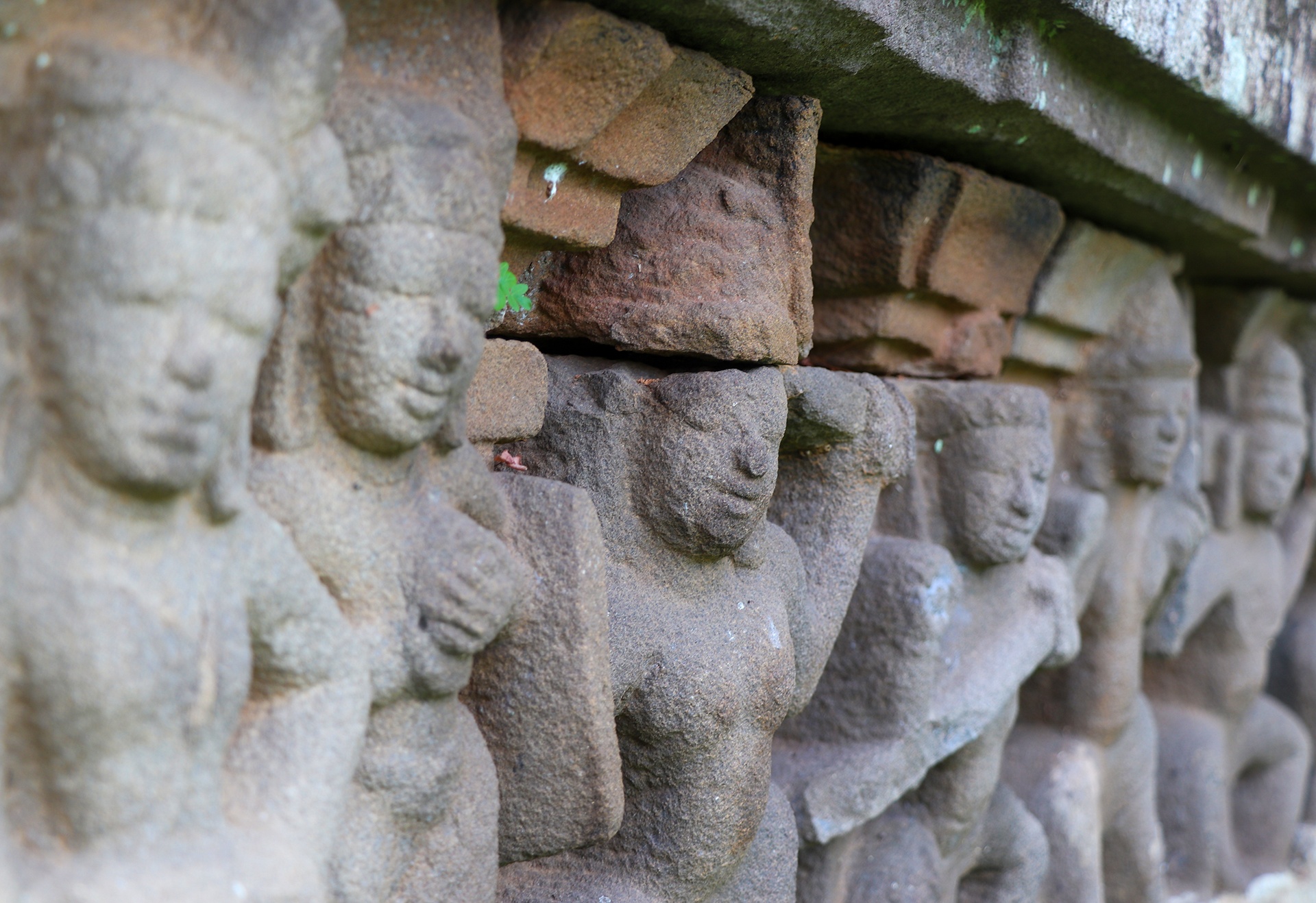 thap Cham Chien Dan anh 6