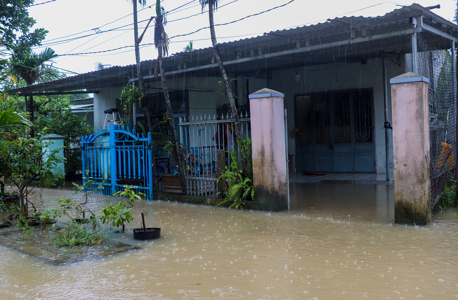 TP Tam Ky bi ngap anh 1