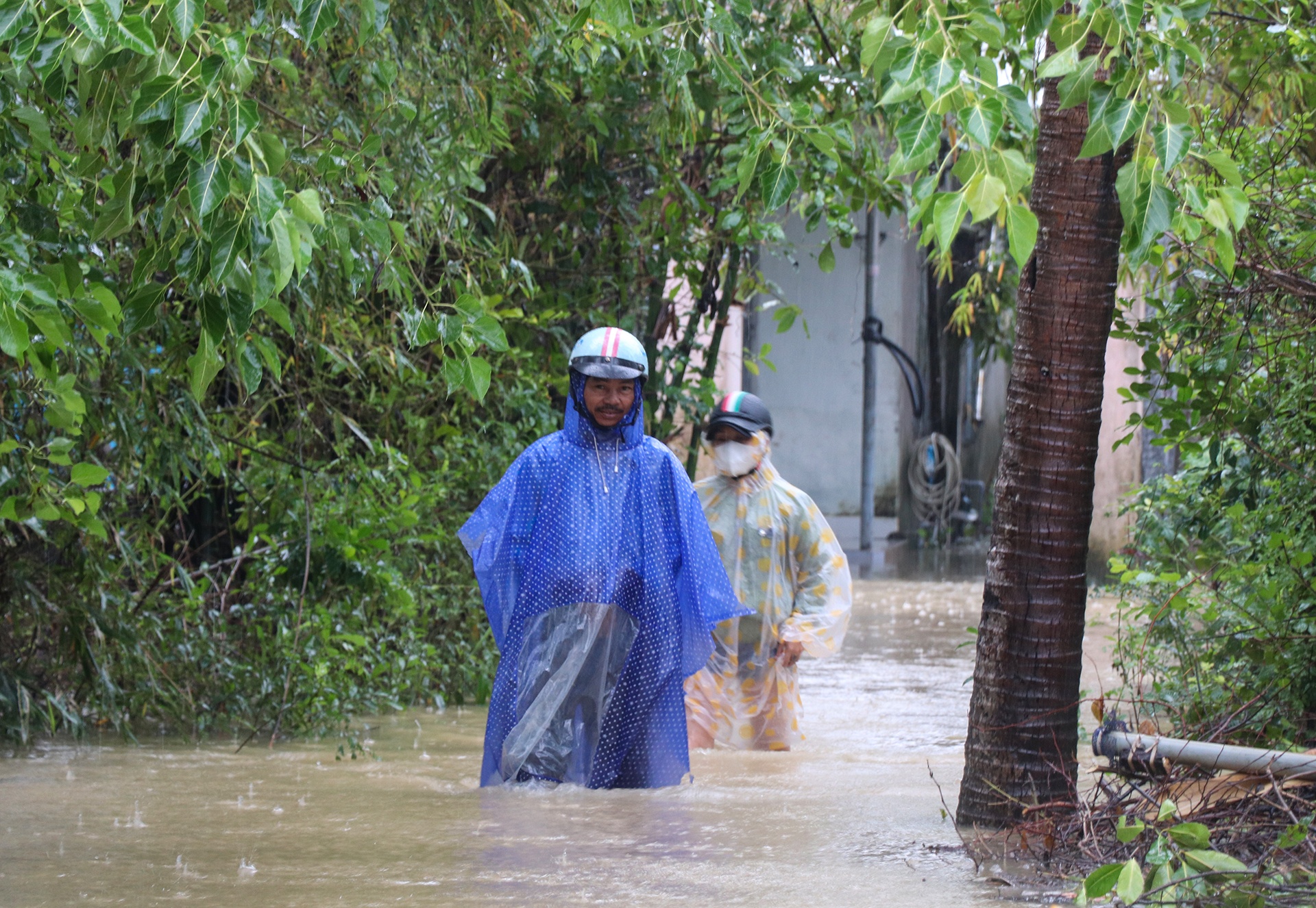 TP Tam Ky bi ngap anh 2