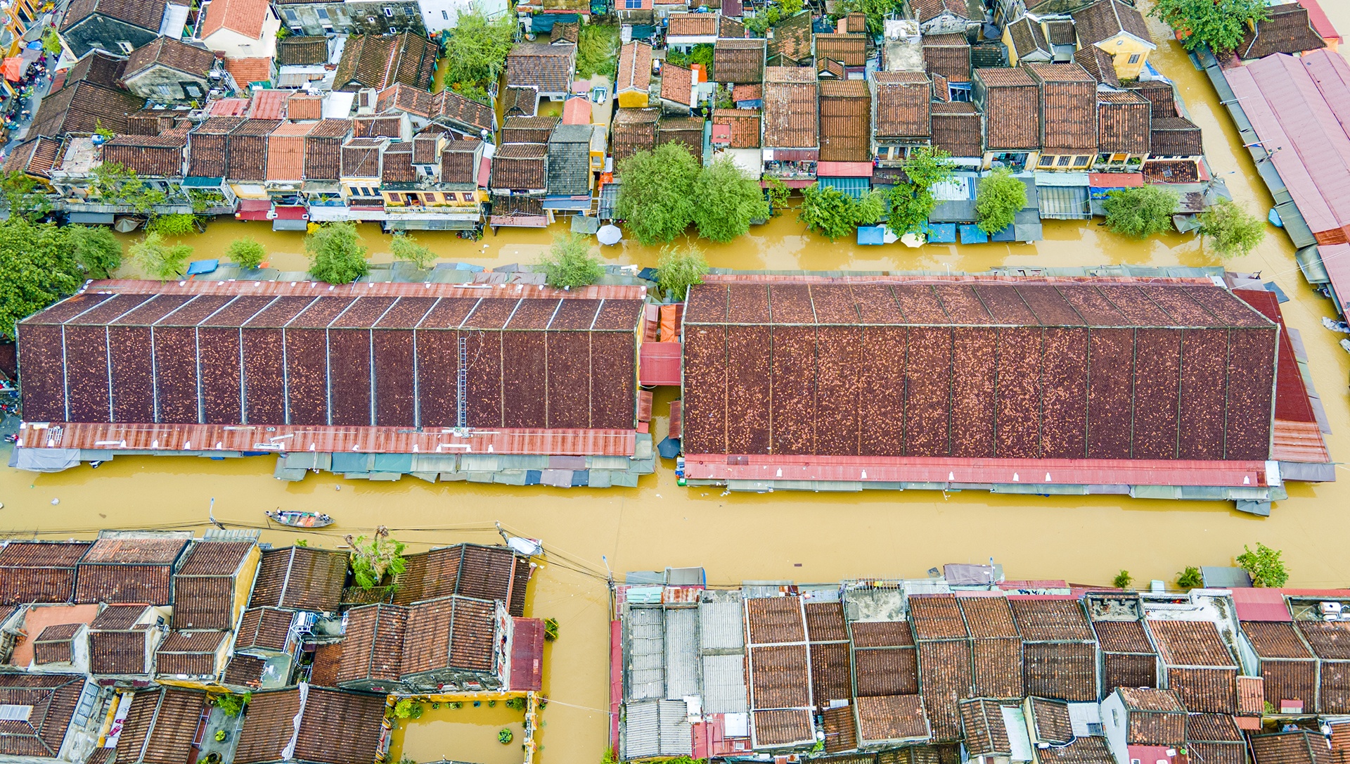 pho co Hoi An ngap anh 4